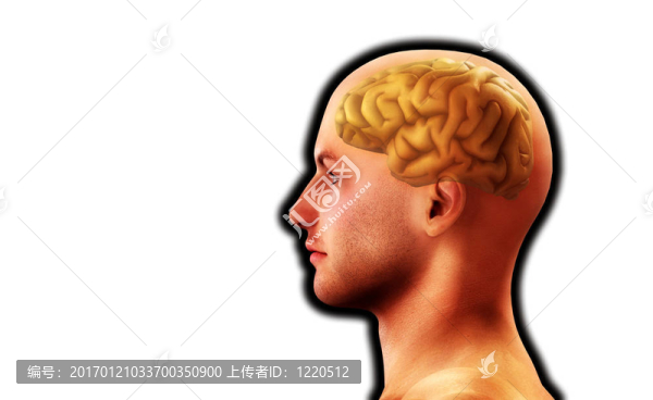 人與腦6-匯圖網(wǎng) www.fosd68.com 人與腦6