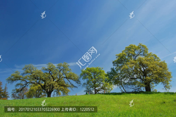 春天的鄉(xiāng)村