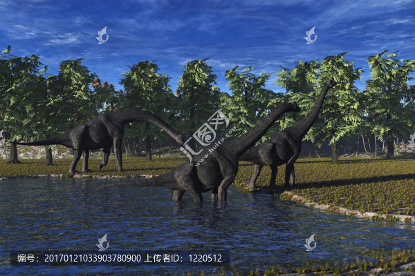Brachiosaurus,Dinosaur