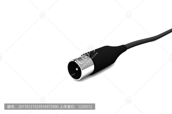 電視天線電纜與插頭