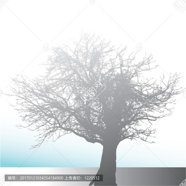 冬季景觀