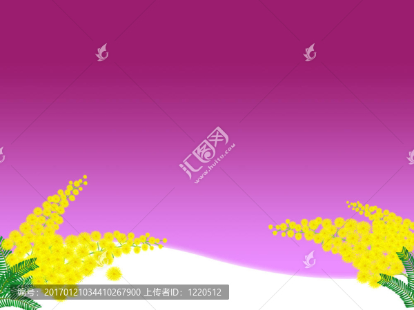 含羞草
