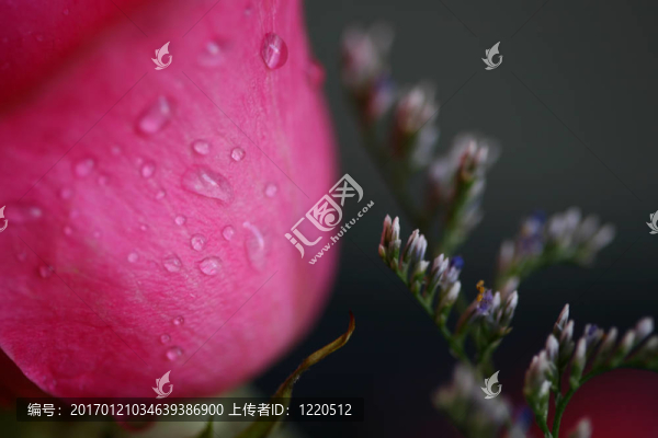 玫瑰水