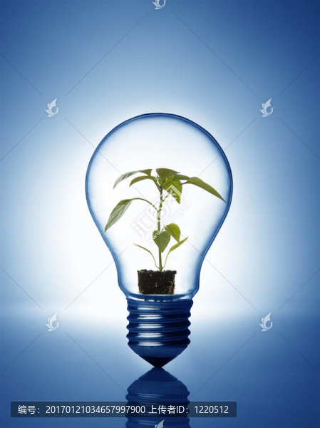 廠里的燈泡