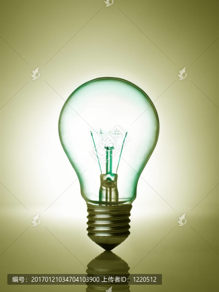 燈泡