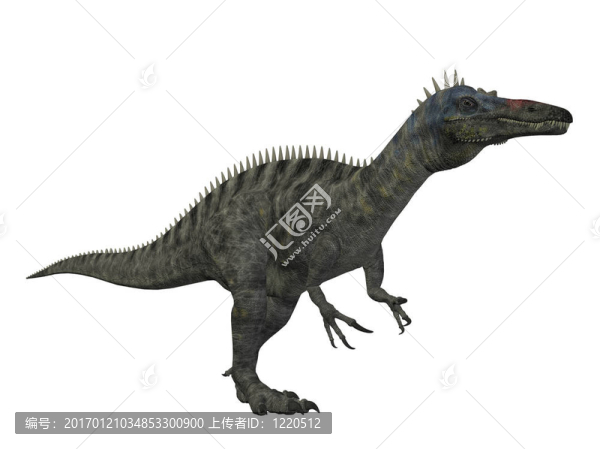 似鱷龍恐龍孤立在白色背景