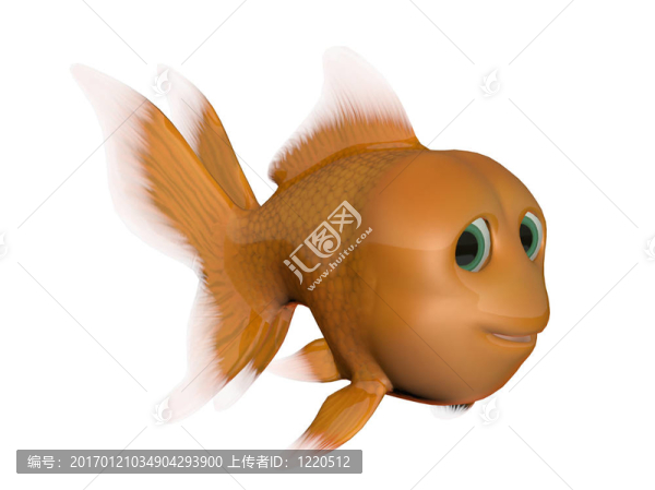白色背景下的金魚