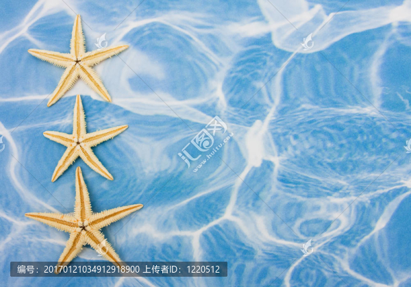 海星的邊界