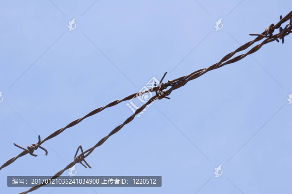帶刺的