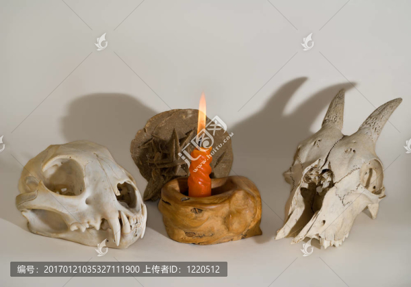 頭骨和蠟燭10