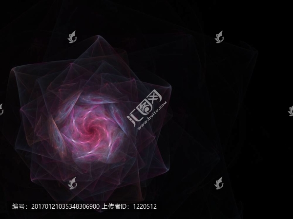 螺旋的花瓣