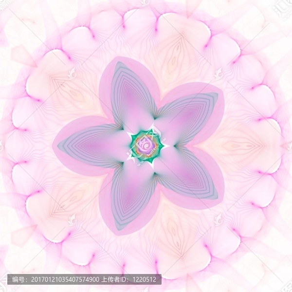 星花抗白