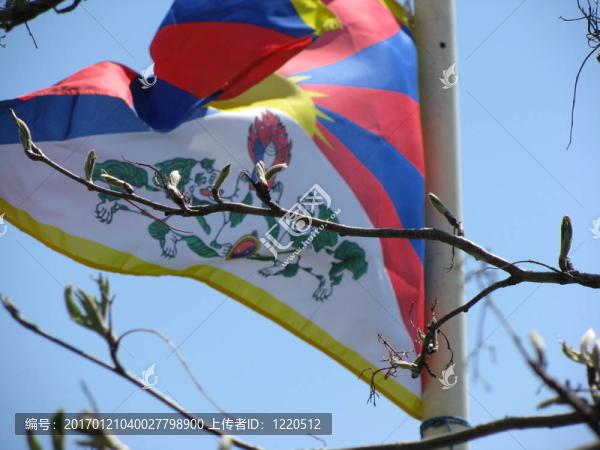 Tibetflagge,und,Aeste