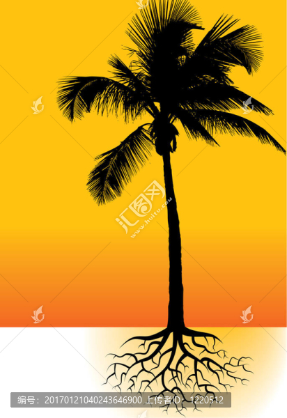 棕櫚樹背景