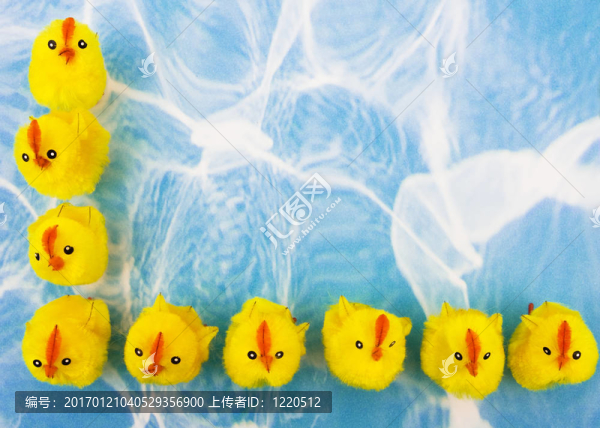 春雞-匯圖網(wǎng) www.fosd68.com 春雞