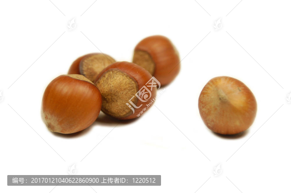 haselnuts