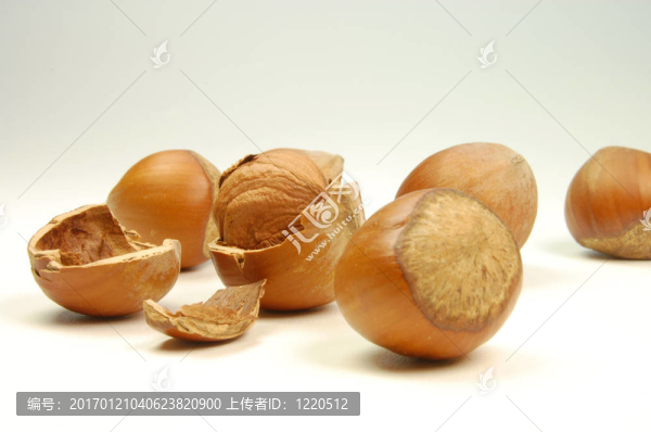 haselnuts