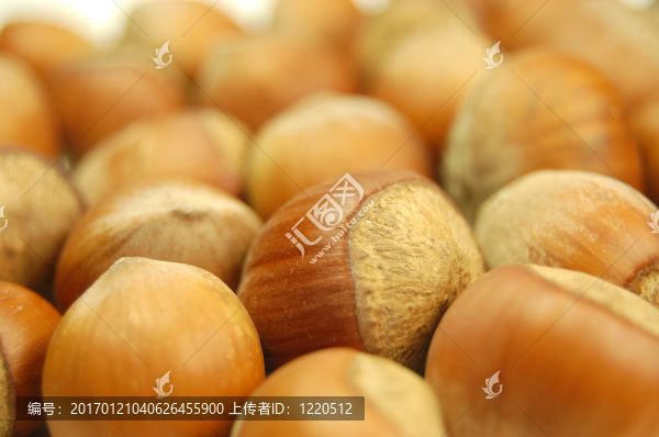 haselnuts