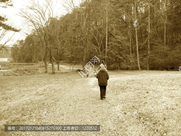 在尤尼科伊州立公園的冬天