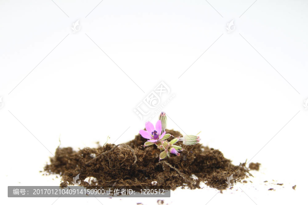 新的生活