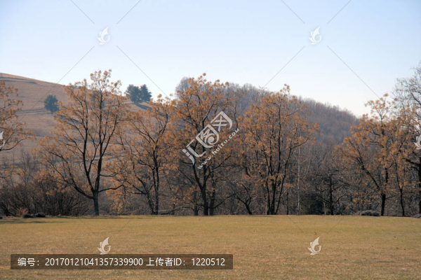 Virginia群山