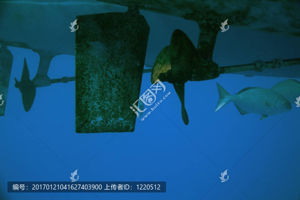 船底和螺旋槳