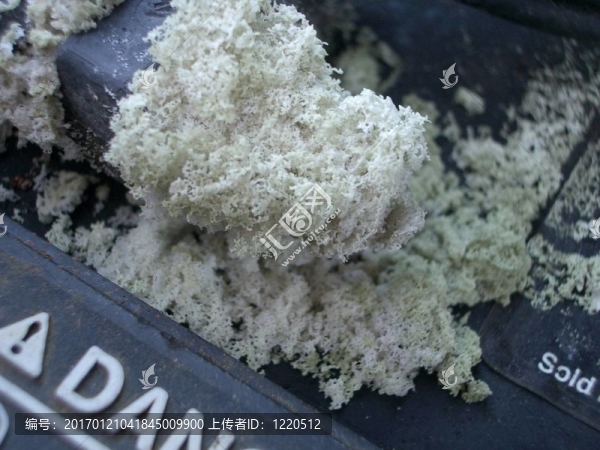腐蝕電池的終端