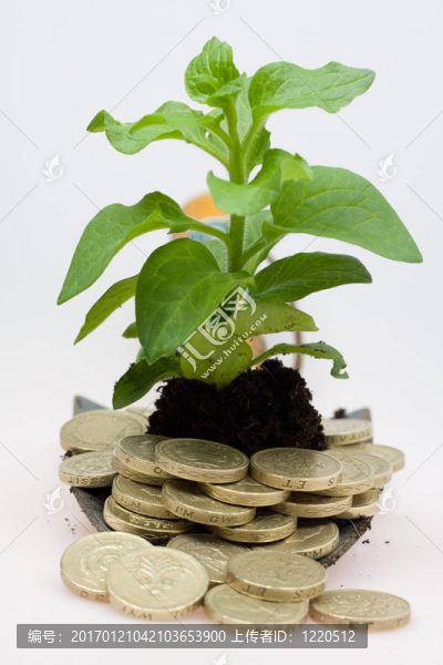 不斷增長的現(xiàn)金