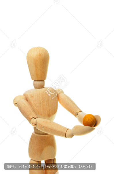 Mannquin控股