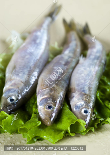 冶煉