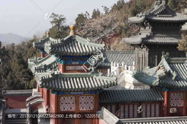 北京的夏季宮殿
