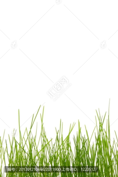 草