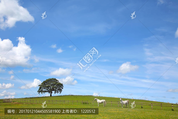 夏天的山水美