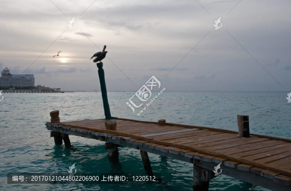 熱帶船碼頭