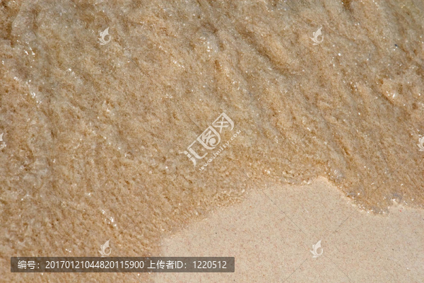 海灘的浪