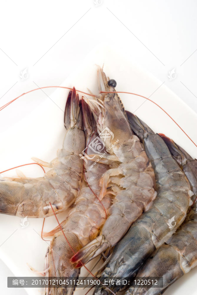 鮮蝦