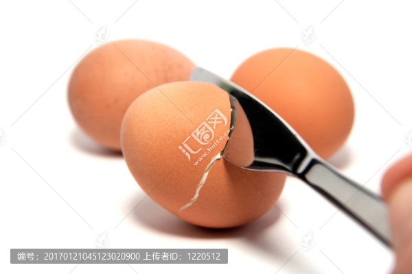 打開蛋