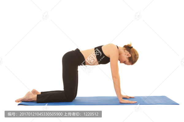 普拉提運動系列