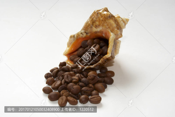 小船由GRA