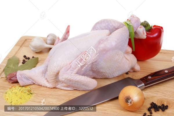 雞-匯圖網(wǎng) www.fosd68.com 雞