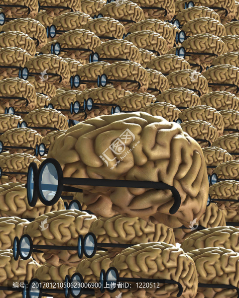 許多聰明的大腦4