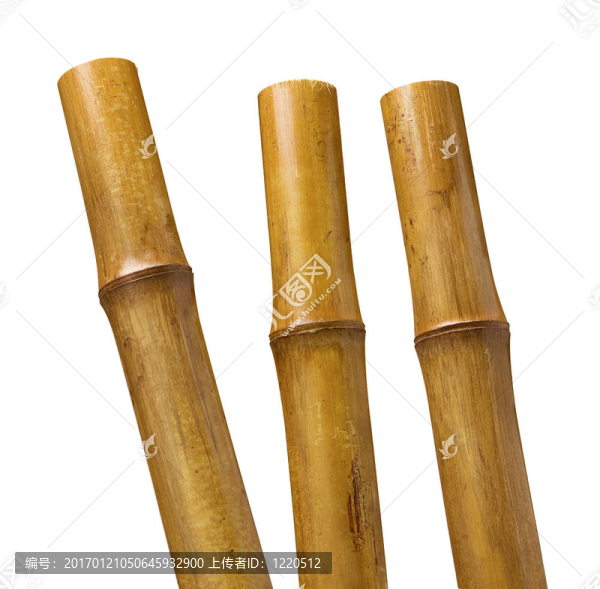 竹