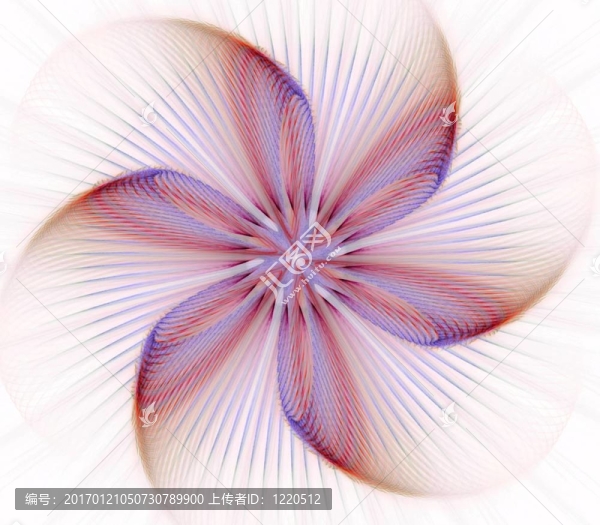 星星花摘要