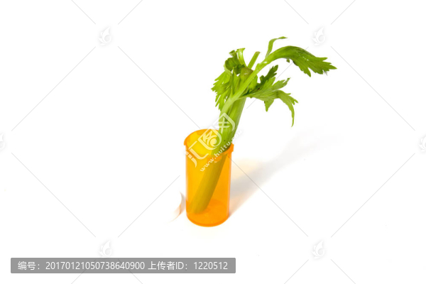 替代醫(yī)學(xué)的概念