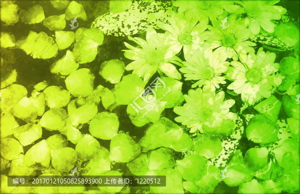 舒緩禪摘要