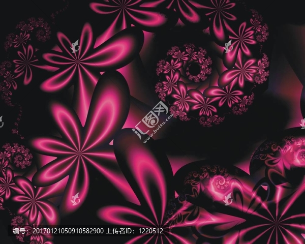 激情花摘要