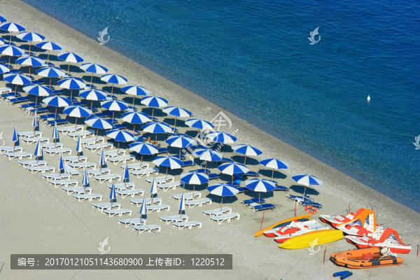 鋸緣青蟹海灘雙體船