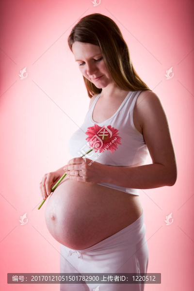 美麗的孕婦gerber,flower