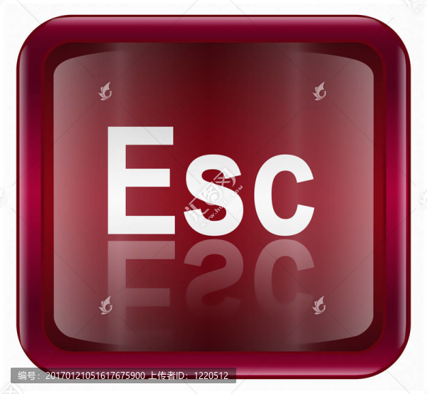 ESC圖標