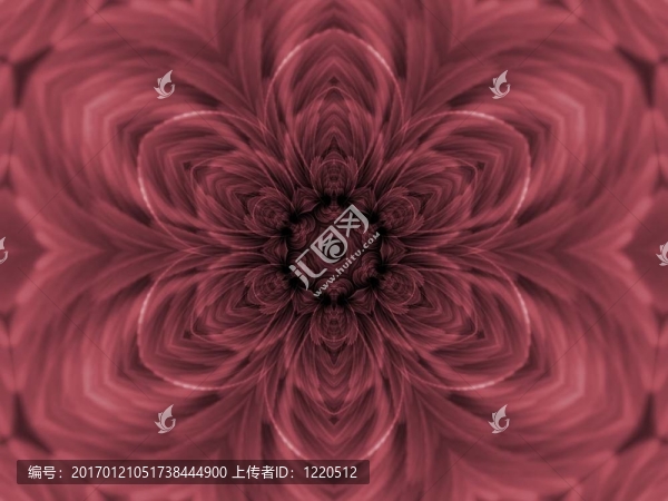 玫瑰花瓣